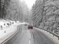 durch den Winterwald