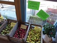 057 Krenzers Schaukelterei