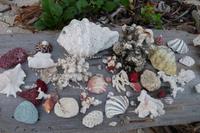 Am Strand von Bidadari