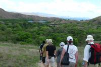 Insel Rinca, Komodo-Nationalpark