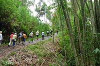 Wanderung zum Dorf Bema