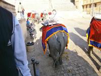 Eberhardt TRAVEL Reise durch Indien -  Jaipur Amber Fort