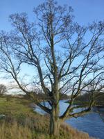 Chesters Fort am Hadrians Wall