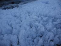 feinste Eiskristalle haben sich am Stadtgraben gebildet