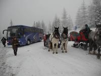 jetzt heißt es umsteigen, gleich geht`s los!