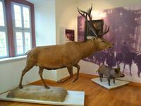 Ausstellung im Schloss Lohr