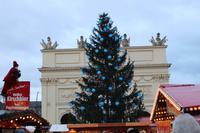 Weihnachtsbaum am Potsdamer Brandenburger Tor