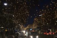 beleuchteter Kurfürstendamm in Berlin