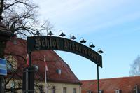 Torbogen Schloss Diedersdorf