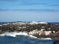 Hout Bay III