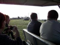 Knysna Elephant Park