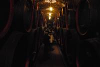 Weinkeller auf Schloss Rametz