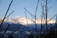 Rosengarten von anderer Sicht bei Nachmittagssonne