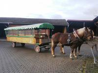 Michlbauer-Pferdekutschfahrt