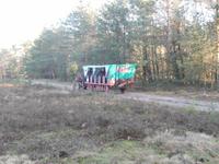 Kutschfahrt durch die Lüneburger Heide