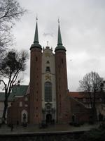 Oliva