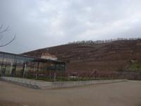 Gelände des Schloss Wackerbarth