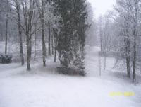 Schloßpark im Schnee