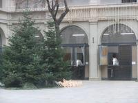 In der Hofbrug haben auch die Lipizzaner ihren Weihnachtsbaum