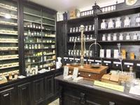 Im Stadtmuseum Traiskirchen