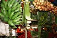 San Jose - Mercado Central