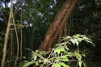 El Rodeo Naturschutzgebiet