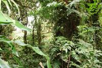 Valle de Los Quetzales