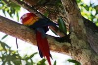 Unterwegs in Limasol