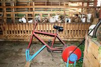 Futter zerkleinern mit Muskelkraft