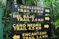 Monteverde - Wanderung im Regenwald