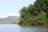 Bootsfahrt in den Mangroven