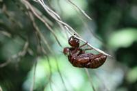 Wanderung im Naturreservat Monte Alto