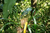 Wanderung im Naturreservat Monte Alto