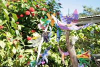 Kunst aus Abfall in Samara