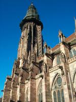 Freiburg im Breisgau, Münster