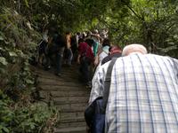 0133  Ha-Long-Bucht Grotte vder Bewunderung Hang Sun Sot