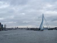Erasmusbrücke, Rotterdam