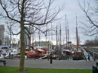 Während der Stadtrundfahrt, Rotterdam