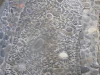 P1080773