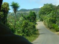 Tal La Paz