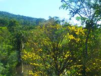 Bio Finca