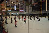 Dubai Ice Rink