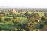 in Bagan