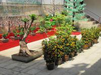 0202 Kek Lok Si Tempel Penang