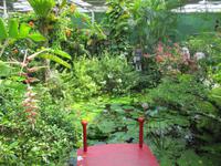 0226 Schmetterlingsfarm Penang