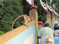 0245 Batuhöhlen Kuala Lumpur