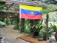 0305 Orchideengarten Kuala Lumpur