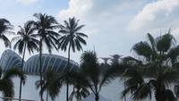 0069 Singapur - Golden Gardens