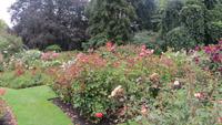 0147 Christchurch - Botanischer Garten -