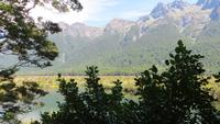 0367 Fahrt zum Milford-Sound - Lake Mirrow -  an den Spiegelseen